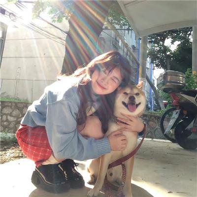 续 刀剑乱舞-花丸-